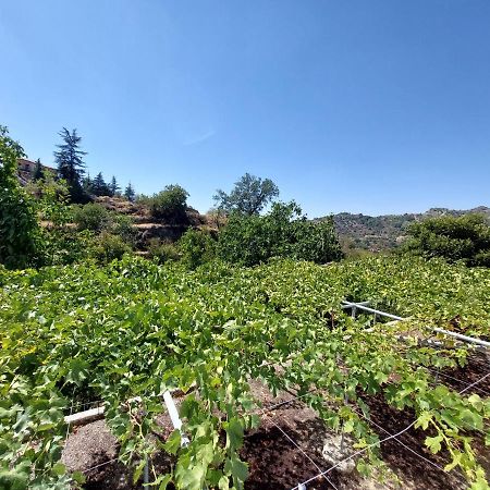 Agros Green Valley Suites Limassol Bagian luar foto