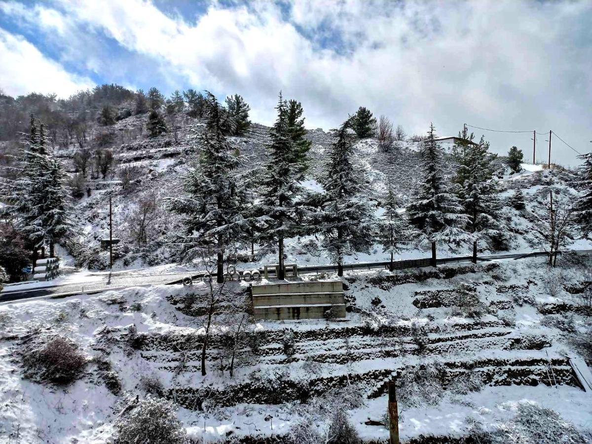 Agros Green Valley Suites Limassol Bagian luar foto