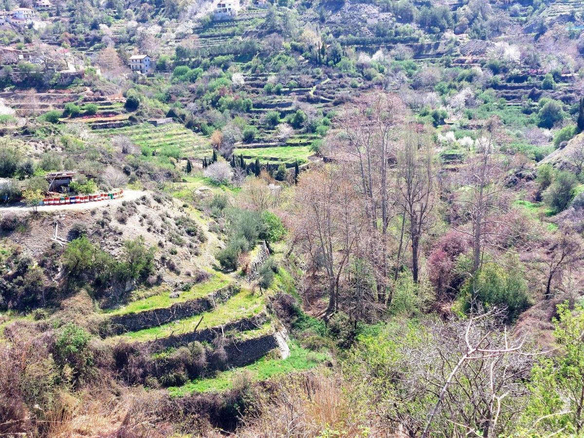 Agros Green Valley Suites Limassol Bagian luar foto