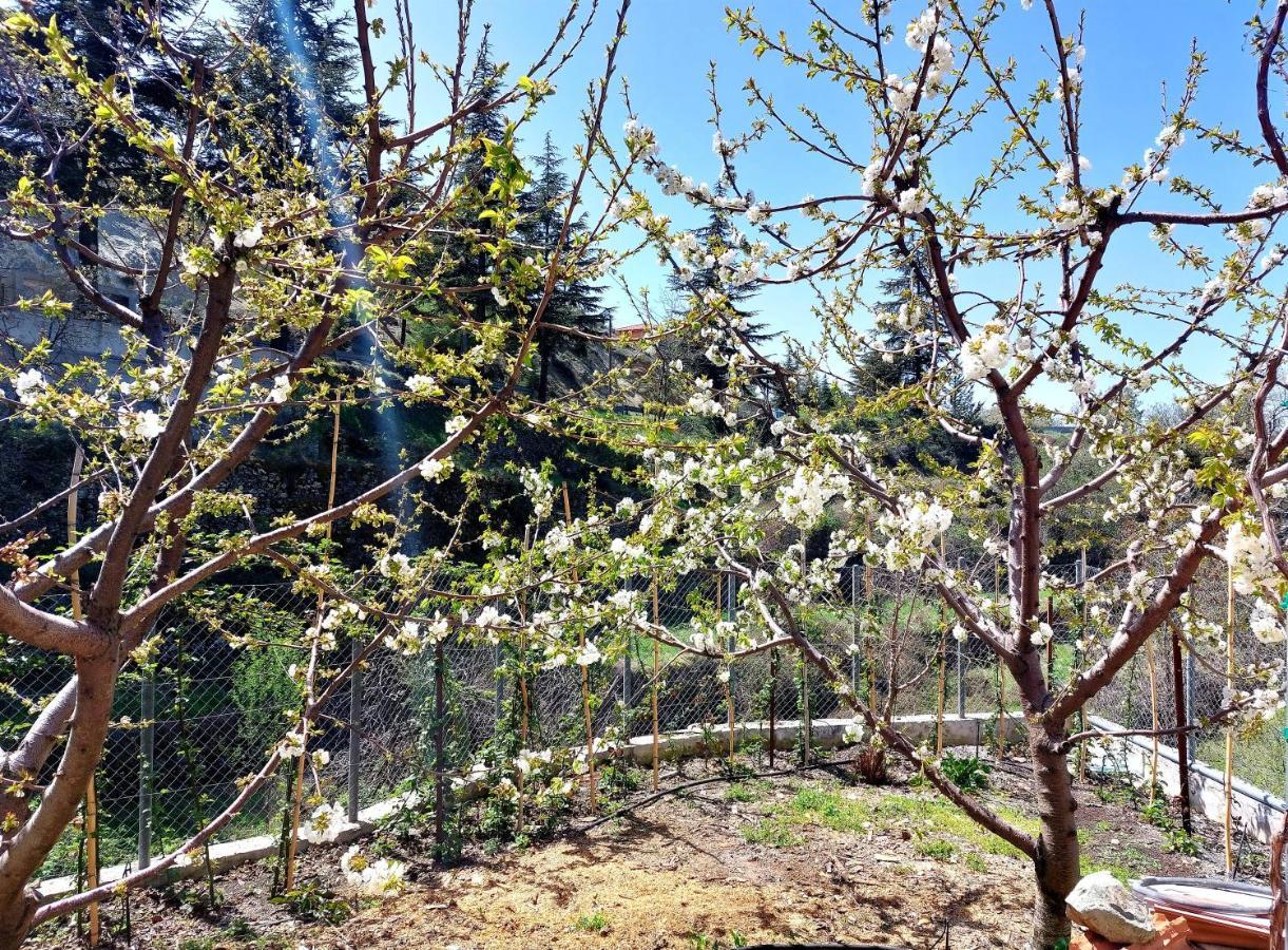 Agros Green Valley Suites Limassol Bagian luar foto