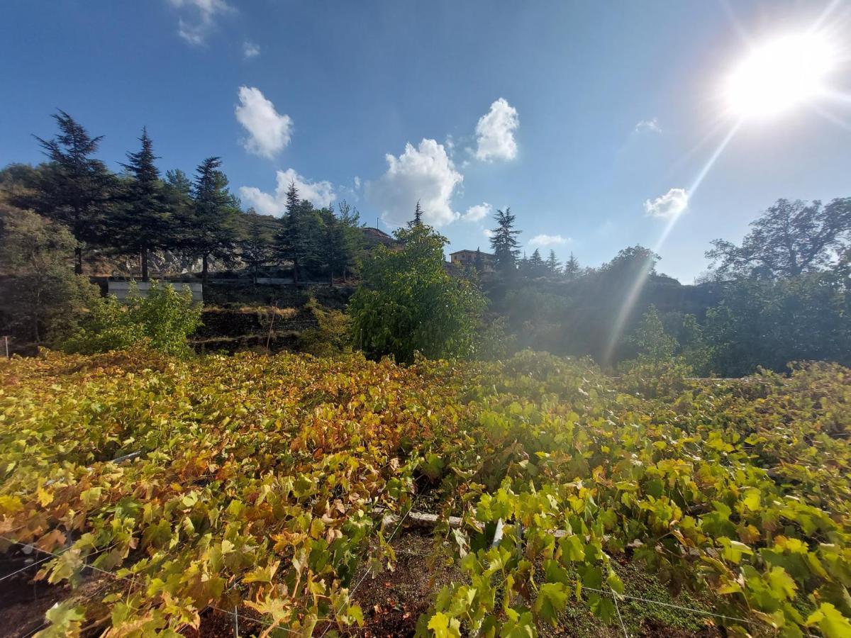 Agros Green Valley Suites Limassol Bagian luar foto
